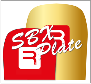 rabanser snowboards,RABANSER SNOWBOARDS,ラバンサー